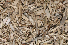 biomass boilers Carnachuin